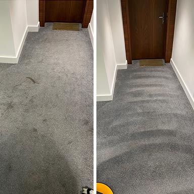 carpet hallways with dirty marks