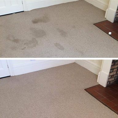 carpet cleaning in the lounge salisbury