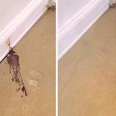 blood stains in carpets removed