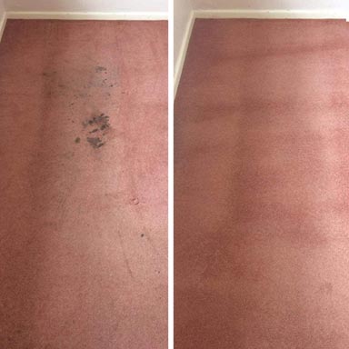 spills on carpets