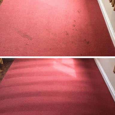 carpet stained and dirty