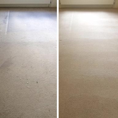 carpet stained end of tenancy clean